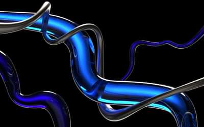 Een moderne webshop voor geldinzamel organisaties