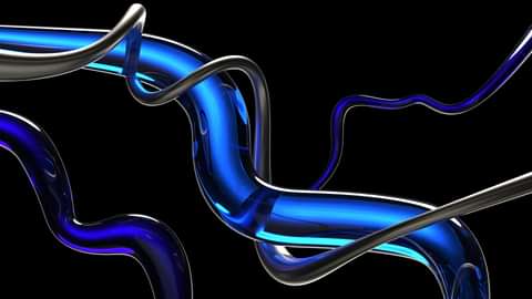 A nice caption for a full width image